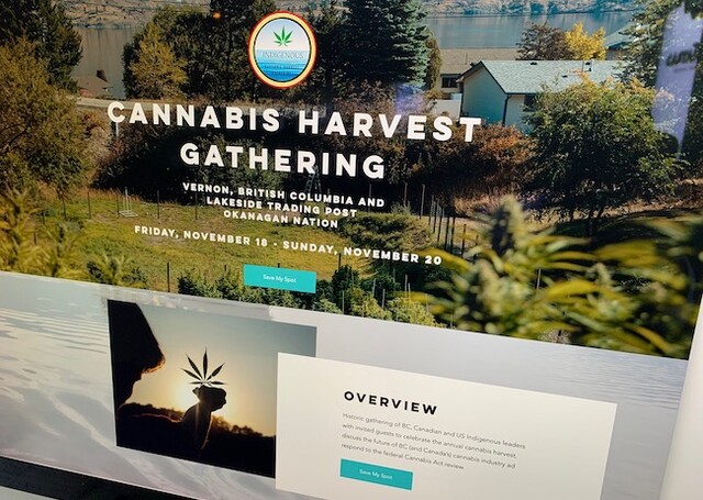 Cannabis Harvest Gathering conference