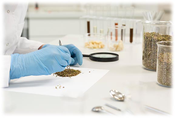 License for analytical testing for cannabis products