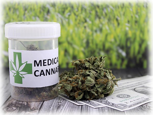 license for Selling Medical Cannabis