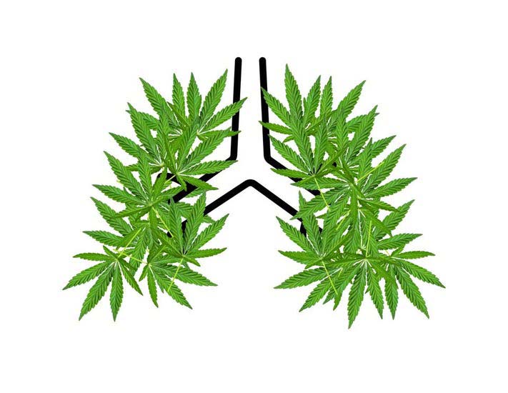 Smoking Cannabis Not Associated With Impaired Lung Functioning