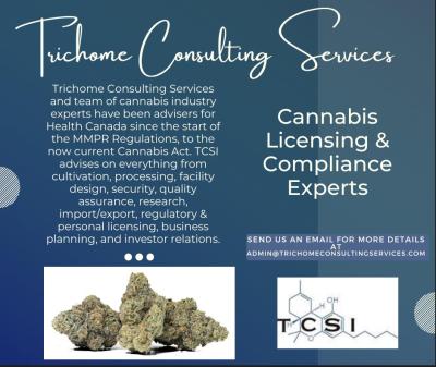 TCSI - Cannabis Licensing consulting services